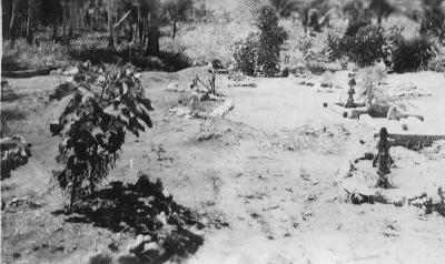 World War 2, North East Indonesia, 1945