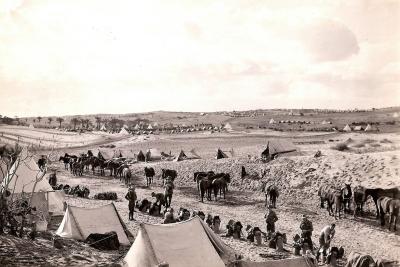 World War 1, Middle East, 10 Australian Light Horse, 1918