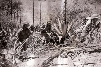 World War 2, Australia Western Australia, 11 Battalion, 1943