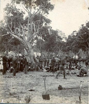 Boer War, Karrakatta, Western Australian Mounted Infantry, 1899