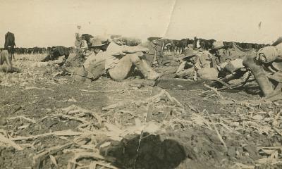 World War 1 , Middle East, 10 Australian Light Horse, 1918