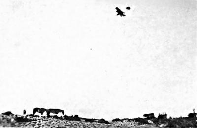 World War 1, Middle East, 10 Australian Light Horse, 1915