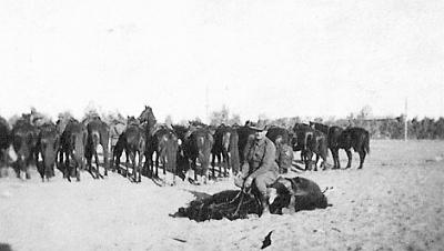 World War 1, Middle East, 10 Australian Light Horse, 1915