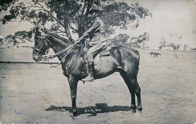 World War 1, Western Australia, EDWARDS, 1914