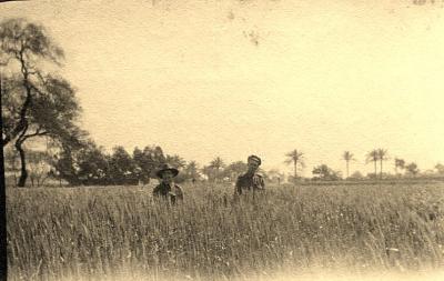 World War 1, Middle East Egypt, 3 Australian General Hospital, 1916