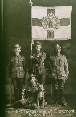 World War 1, Australia Western Australia, 44 Battalion, 1916