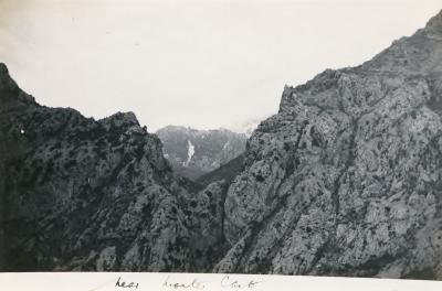 World War 1, Europe Monaco, RIDLEY, 28 Battalion, 1919
