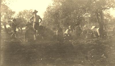 World War 1 , Middle East, 10 Australian Light Horse, 1918