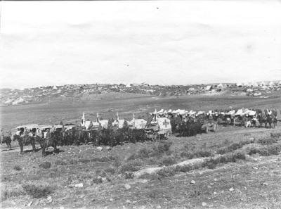 World War 1, Middle East, 4 Brigade Field Ambulance, 1917