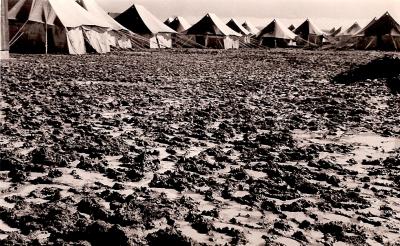 World War 2, Middle East, Royal Australian Engineers, 1941