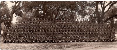 World War 2, Middle East, 2/3rd Field Artillery