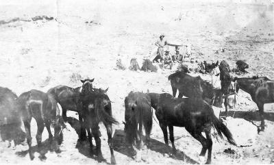 World War 1, Middle East Jordan, 10 Australian Light Horse, 1918