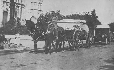 World War 1, 10 Australian Light Horse, 1914