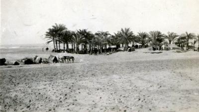 World War 1, Middle East Egypt El Arish, 3 Australian Light Horse, 1917