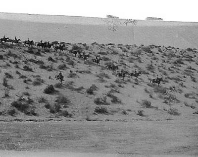 World War 1, Middle East, 10 Australian Light Horse, 1916