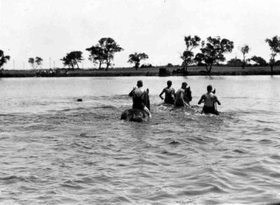 Interwar, Australia Western Australia, 13 Field Company 1935