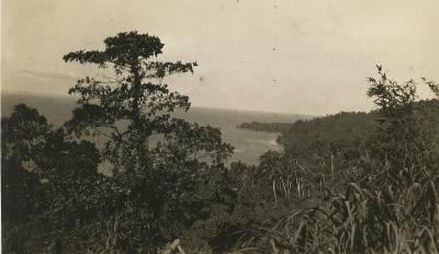 World War 2, Papua New Guinea Gazelle Peninsula, 1945