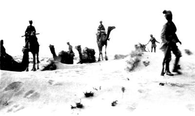 World War 1, Middle East Sinai, 10 Australian Light Horse, 1916