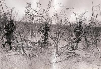 World War 2, Australia Western Australia, 11 Battalion, 1943