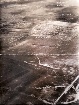 World War 1, Europe Hamel Wood,