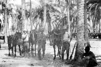 World War 1, Middle East, 10 Australian Light Horse, 1916