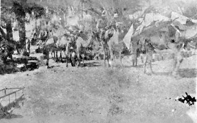 World War 1, Middle East, 10 Australian Light Horse, 1916