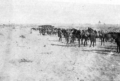 World War 1, Middle East, 10 Australian Light Horse, 1916