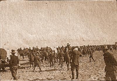 World War 1, Middle East El Arish, 10 Australian Light Horse, 1918