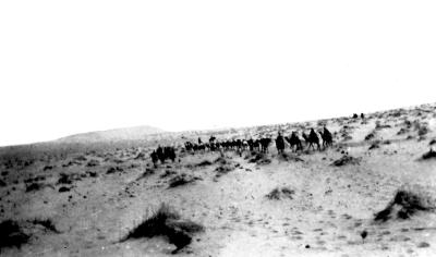 World War 1, Middle East, Sinai, Imperial Camel Corps, 1916