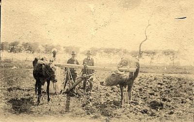 World War 1, Middle East, 3 Australian General Hospital, 1916