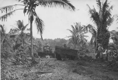 World War 2, Papua New Guinea, 1944