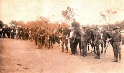 World War 1, Australia Western Australia, 10 Australian Light Horse, 1915