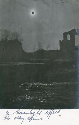 World War 1, Europe, RIDLEY, 28 Battalion, 1919