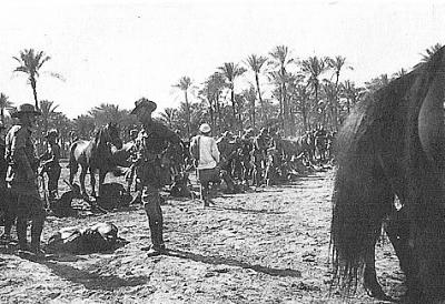 World War 1, Middle East, 10 Australian Light Horse, 1916