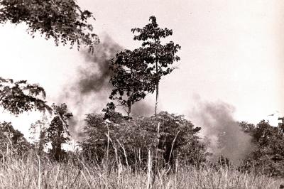 World War 2, Papua New Guinea Gona, 1943