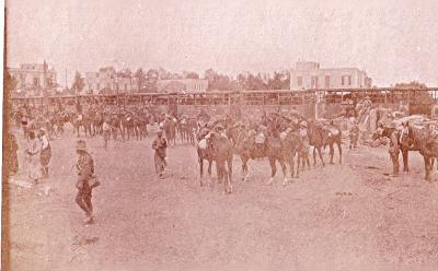 World War 1, Middle East, 10 Australian Light Horse, 1918