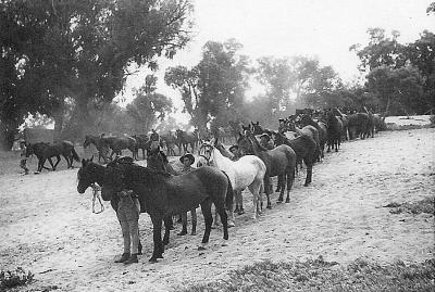 World War 2, Australia Western Australia, 10 Australian Light Horse, 1940