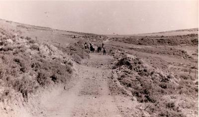 World War 2, Middle East Lebanon, 2/28 Battalion, 1942