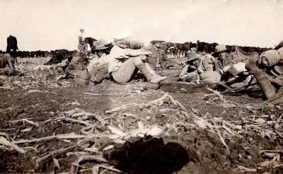 World War 1, Middle East, 10 Australian Light Horse, 1916