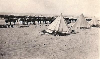 World War 1, Middle East, 10 Australian Light Horse, 1917