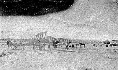 World War 1, Middle East, 10 Australian Light Horse, 1917