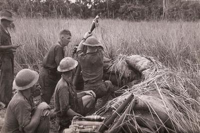 World War 2, Papua New Guinea Gona, 1942