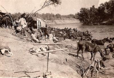 World War 1, Middle East Jordan, 10 Australian Light Horse, 1918