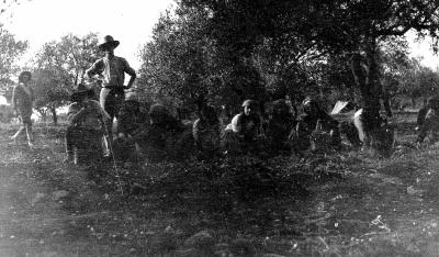 World War 1, Middle East Tripoli, 10 Australian Light Horse, 1916