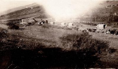 World War 1, Middle East Jordan Valley, 10 Australian Light Horse,