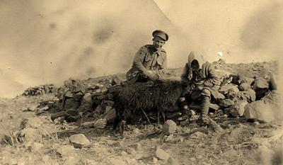 World War 1, Europe, Greece, Lemnos, 4 Field Ambulance, 1915