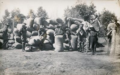 Pre 1914, Australia Western Australia, 1912