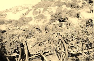 World War 1, Europe, Turkey, Gallipoli, Shrapnel Gully, Artillery limbers, 1915
