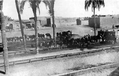 World War 1, Middle East, 10 Australian Light Horse, 1918