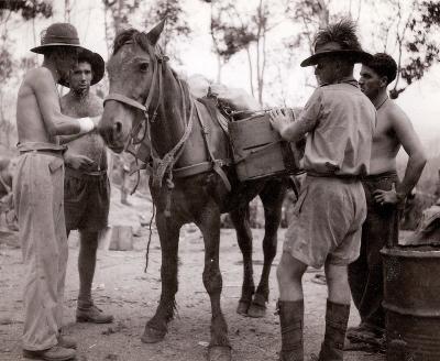 World War 2, Papua New Guinea, 1943